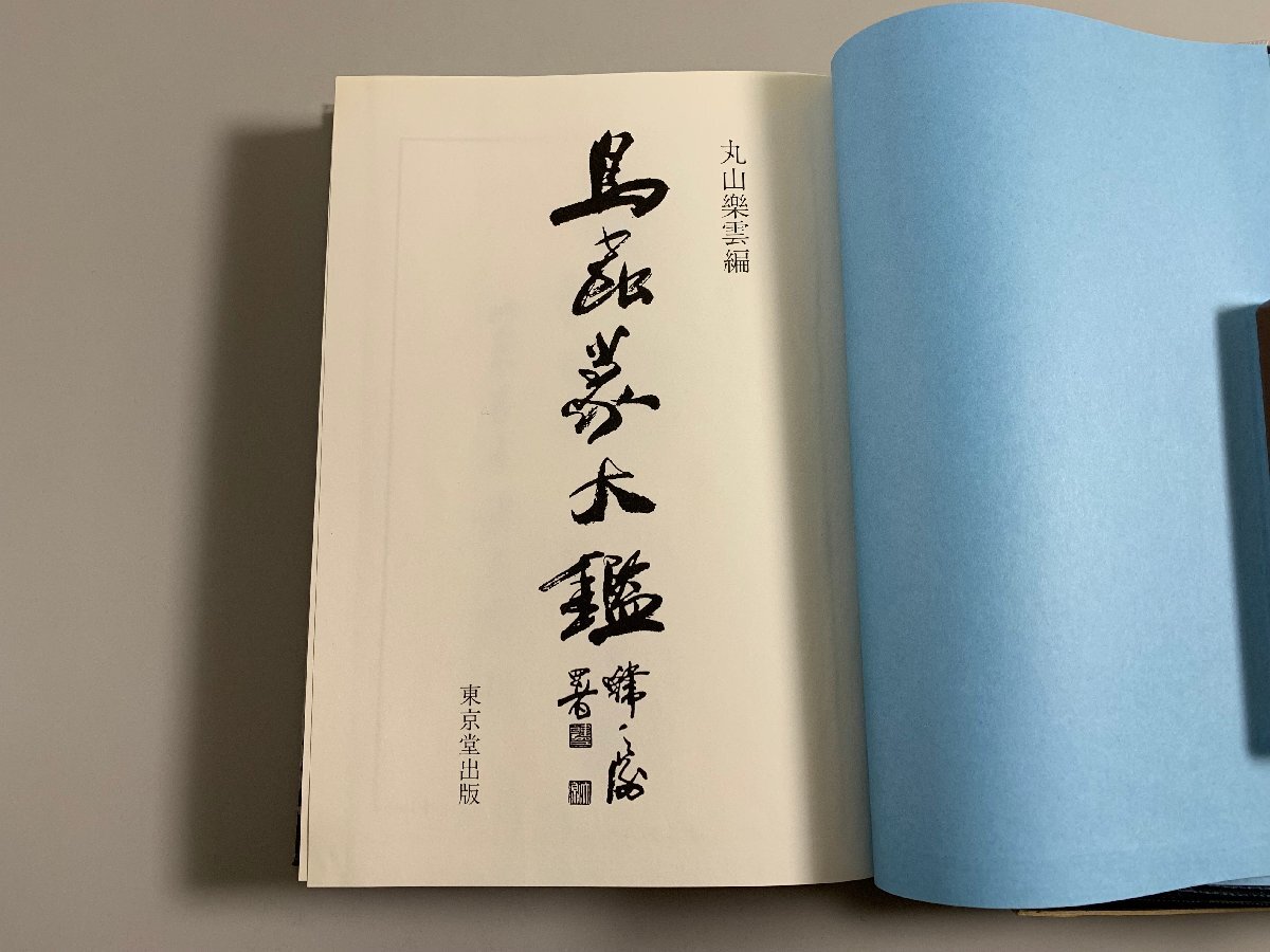 書籍□ 鳥蟲篆大鑑 丸山楽雲 上海書店出版 初版 東京堂出版 書籍□ 鳥蟲篆大鑑 丸山楽雲 上海書店出版 初版 東京堂出版