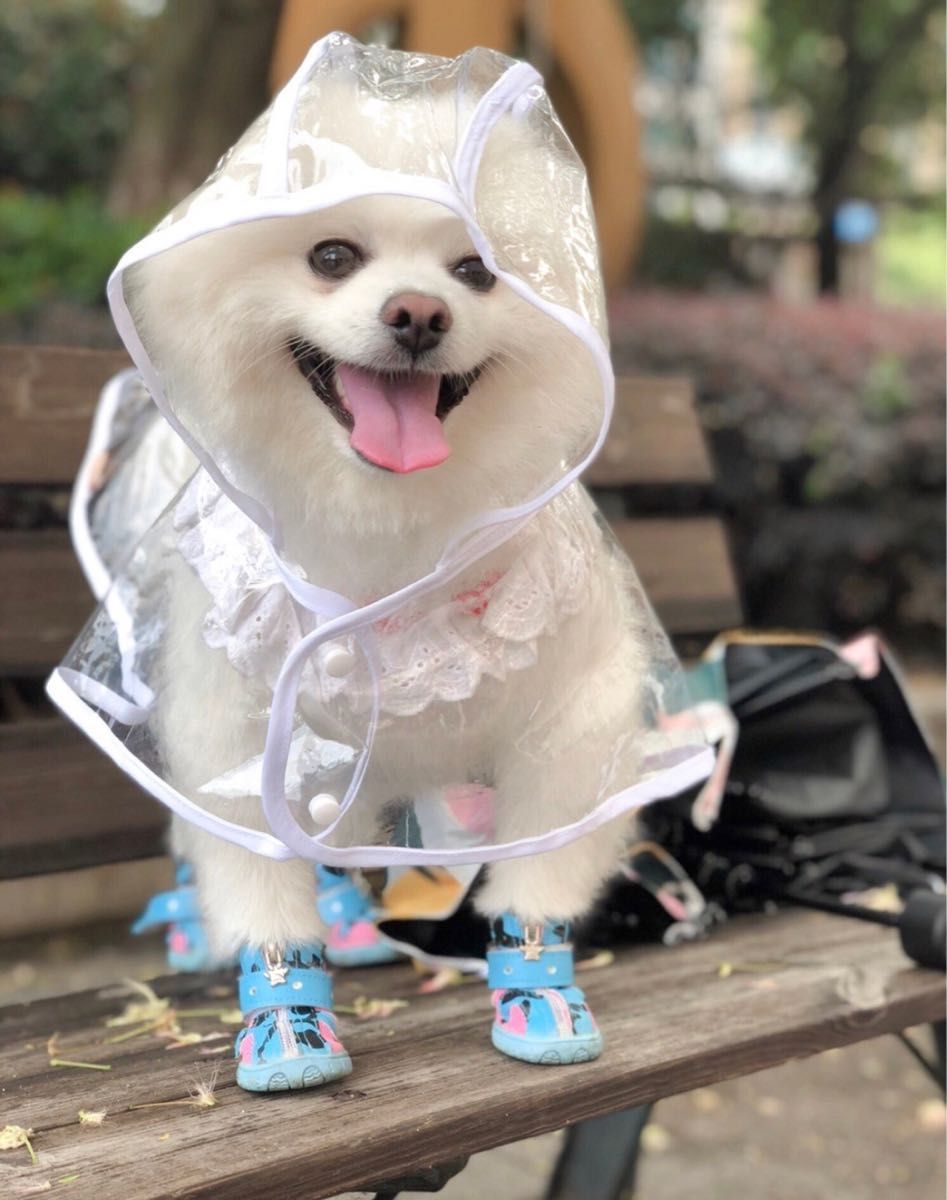 ★セール★犬用レインコート　 透明  ホワイト　雨具　カッパ　梅雨  M