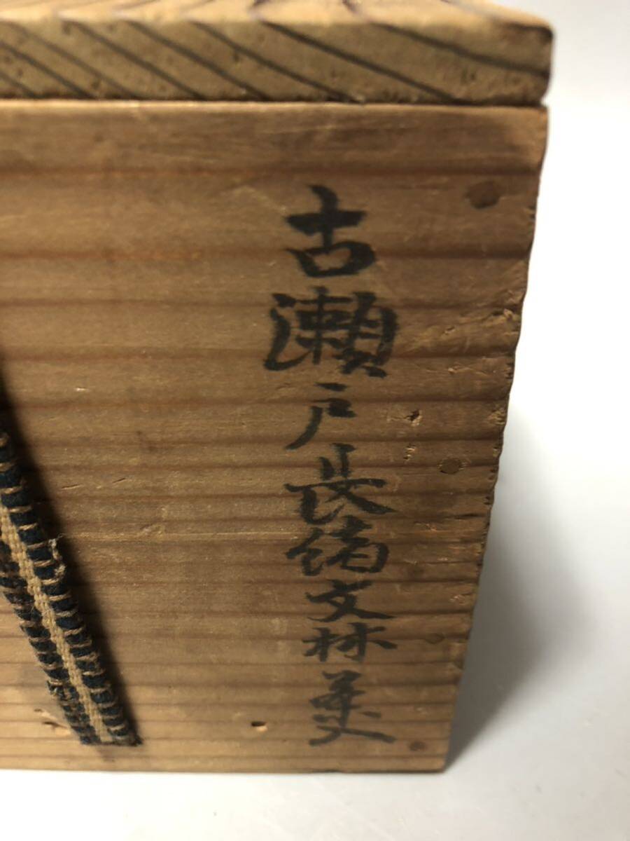 瀬戸　椿手　大海　茶入　桃山〜江戸初期【箱有】_画像10