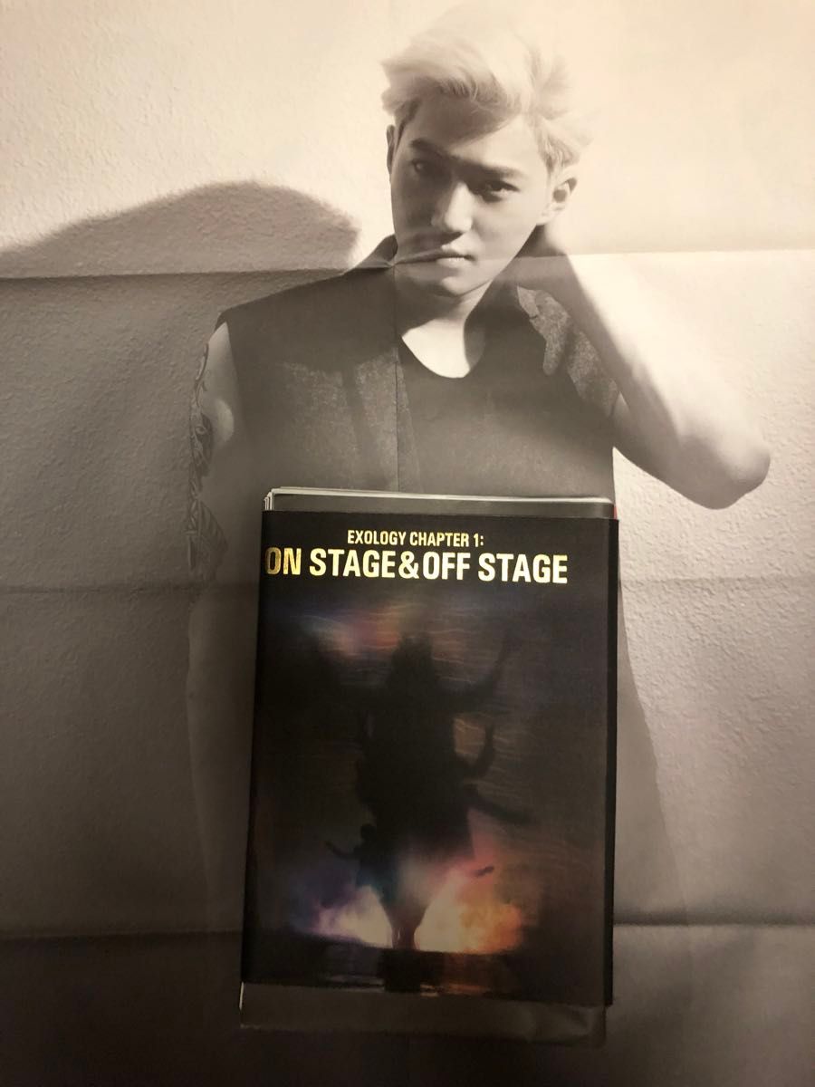 EXOLOGY CHAPTER 1 ON STAGE＆OFF STAGE