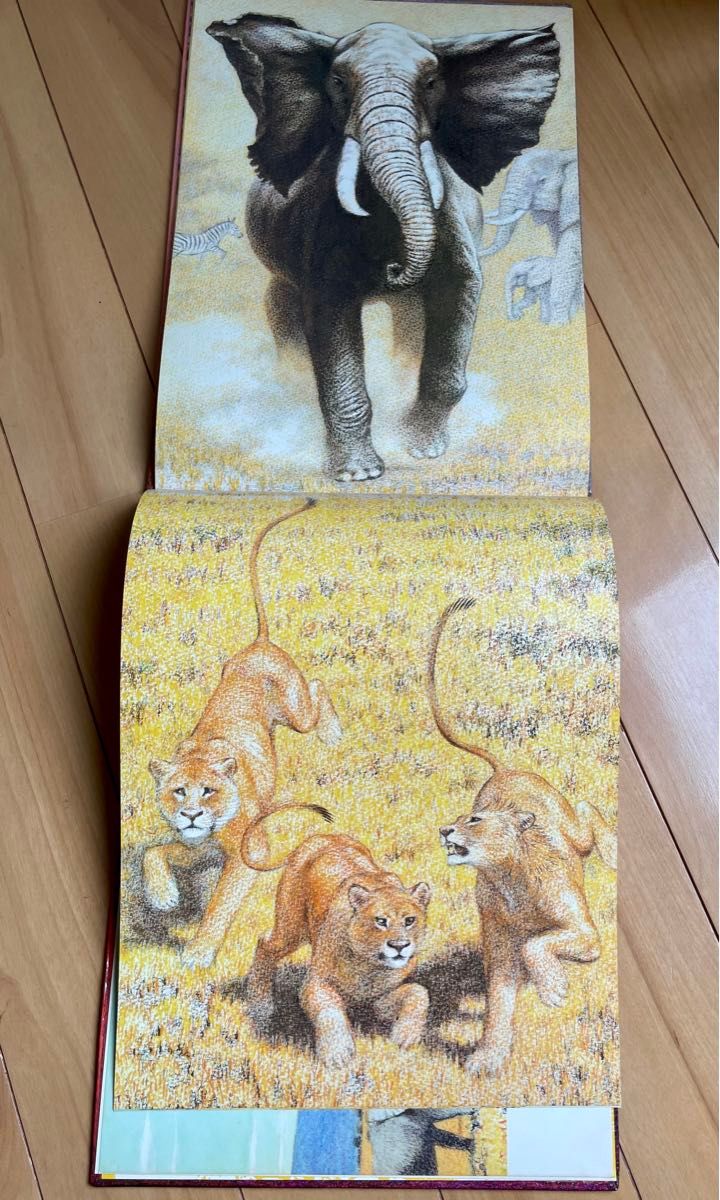 絶版希少】おもいで 動物絵本シリーズ 初版 吉田遠志 直筆サイン 絶版希少】おもいで 動物絵本シリーズ 初版 吉田遠志 直筆サイン