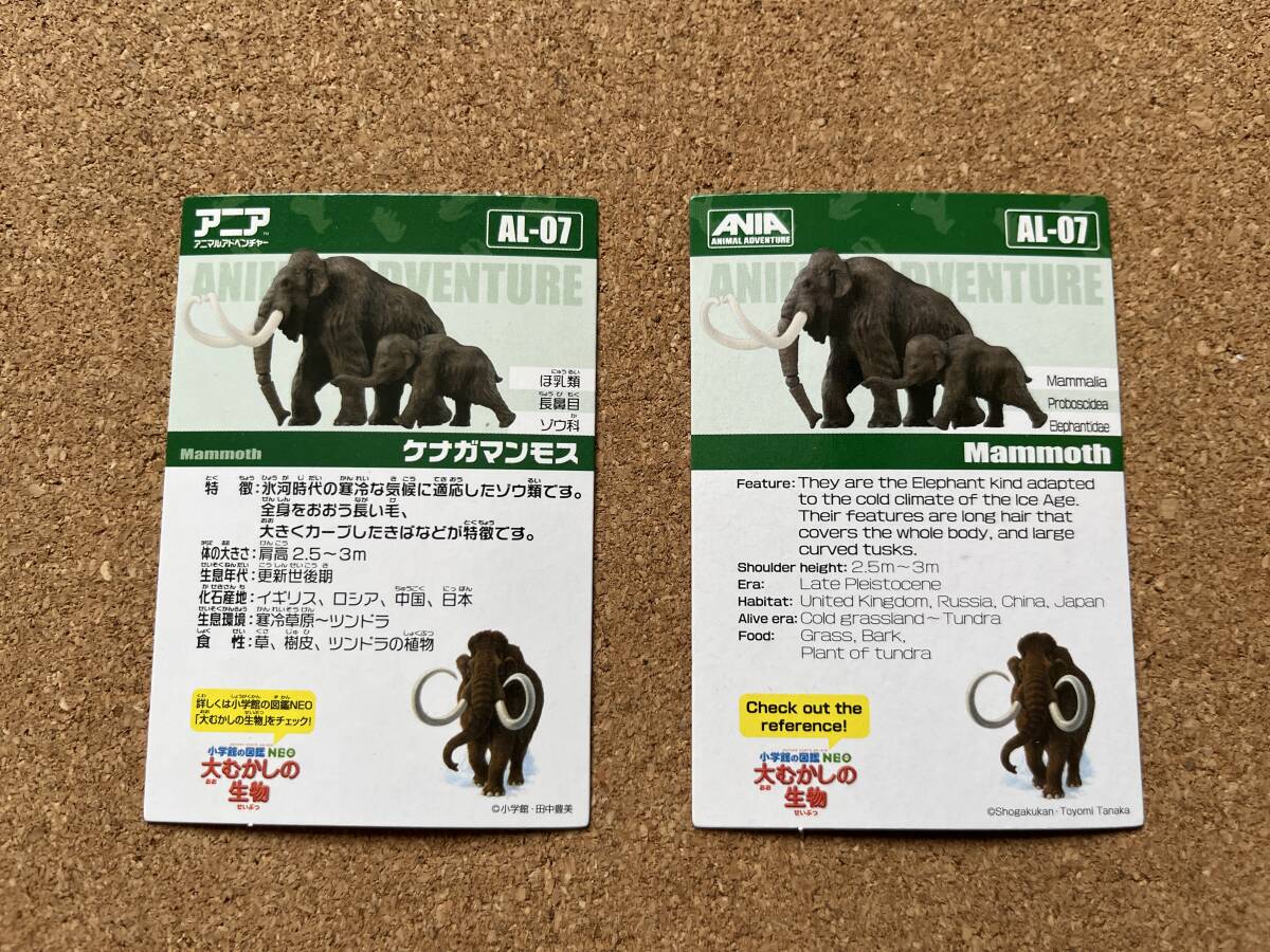 アニア 　フィギュア　アニマルアドベンチャー　　マンモス親子　　送料300円〜 _画像8