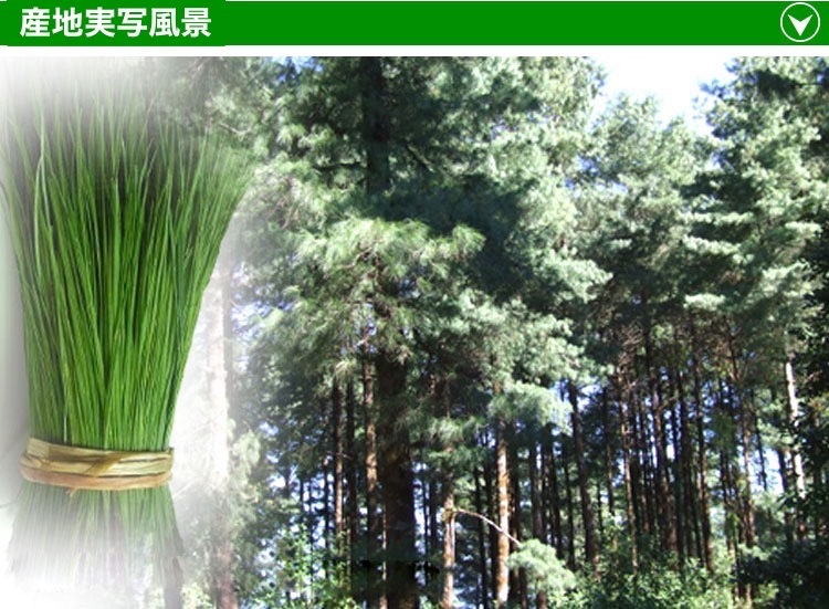 . raw pine leaf powder 100g less pesticide pine leaf pine. leaf red matsu