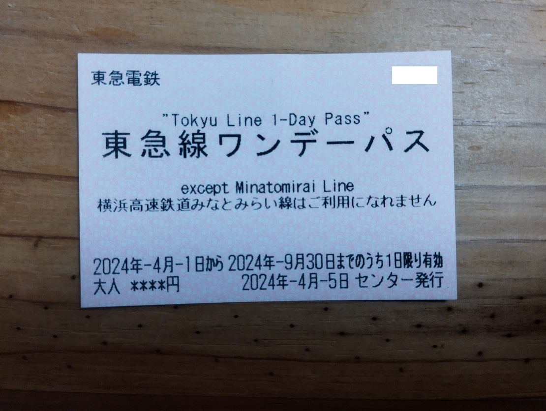 東急線ワンデーパス　1枚　2024年9月30日迄有効_画像1