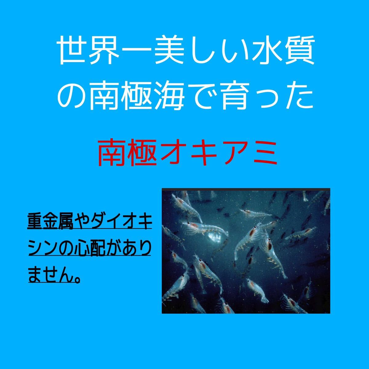  blood vessel ... .... progress . health maintenance therefore .! suction power . differ! Oncoming generation Omega 3 supplement [....kliru oil ]