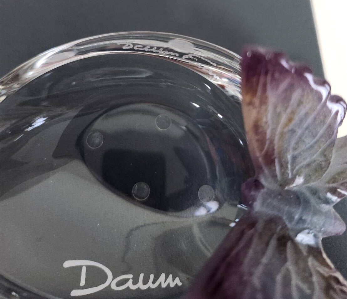 Daum Crystal ドーム クリスタル パピヨン トレイ 展示歴有り Daum Crystal ドーム クリスタル パピヨン トレイ 展示歴有り