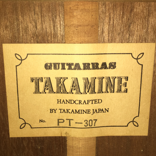 タカミネ PT-307 エレキガットギター エレガット クラシックギター ナチュラル 弦楽器 TAKAMINEの画像10