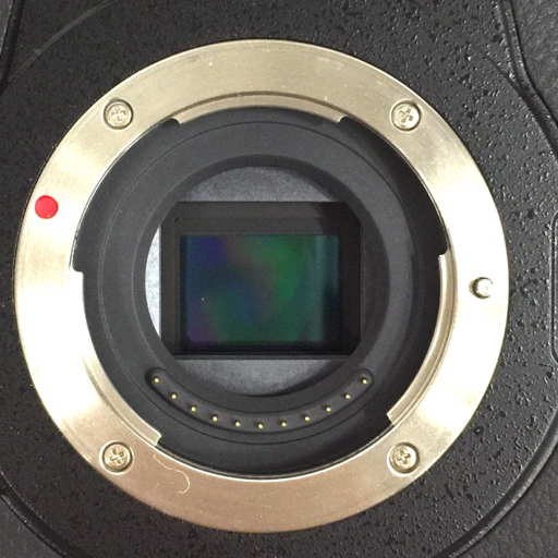 Panasonic LUMIX DC-GH5 ミラーレス一眼 デジタルカメラ ボディ 本体 QD054-26_画像4