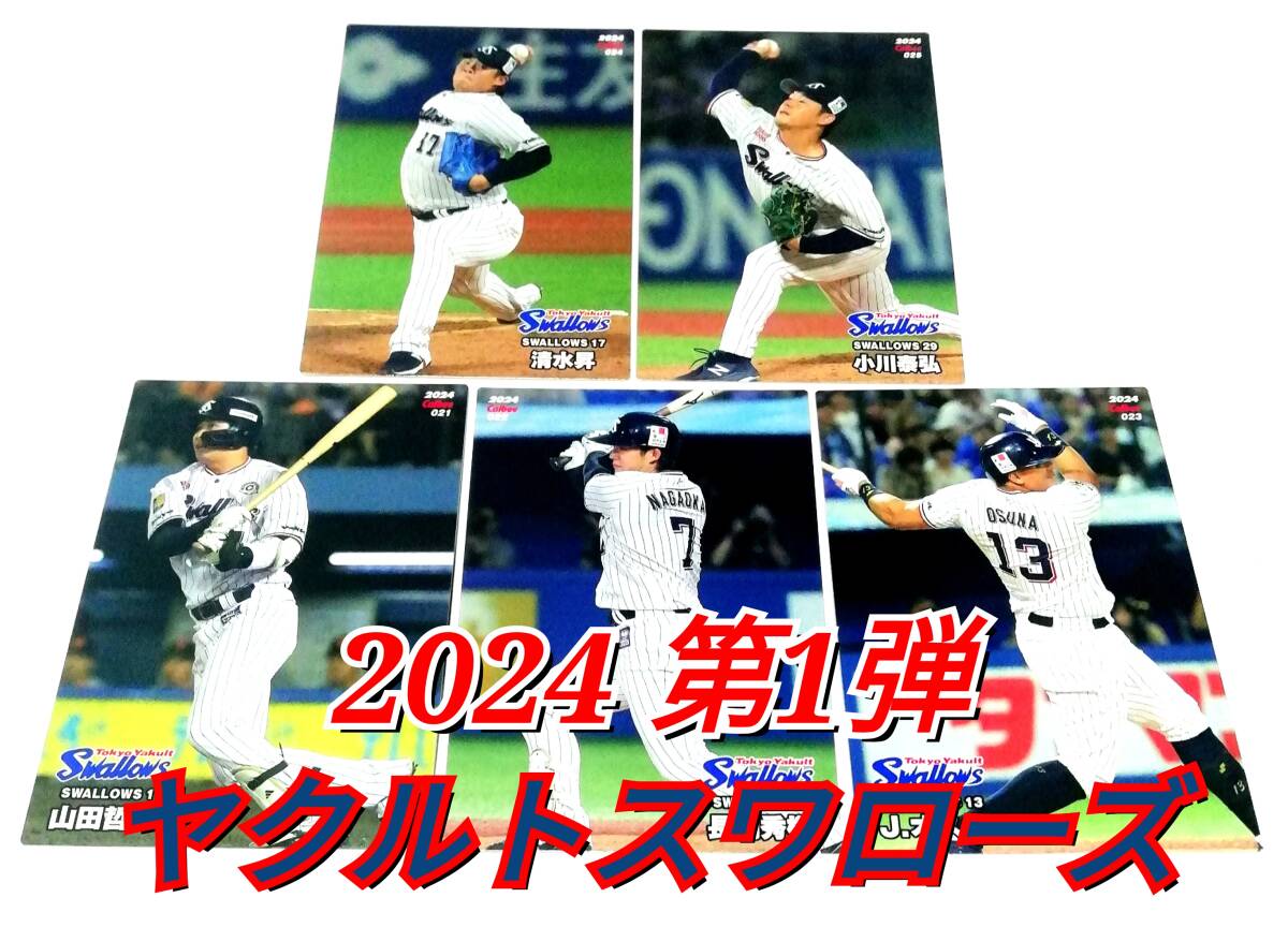 【 2024　第1弾　ヤクルトスワローズ 】　レギュラーカード　全5種セット　★　カルビープロ野球チップス 山田　長岡　オスナ　清水　小川_画像1