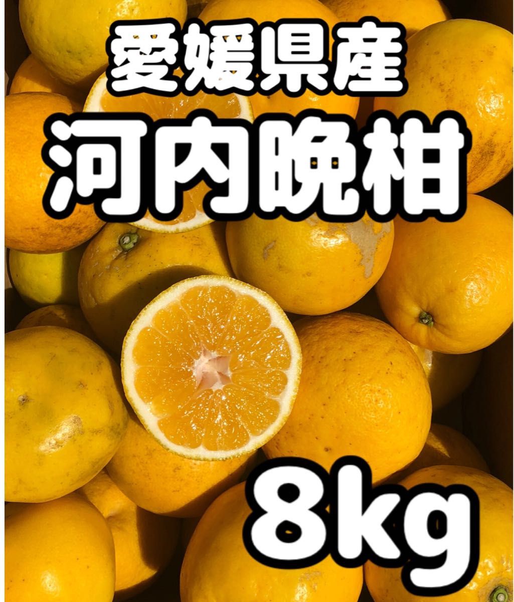 愛媛県産 みかん 家庭用 河内晩柑 箱込8kg 柑橘 ミカン 果物