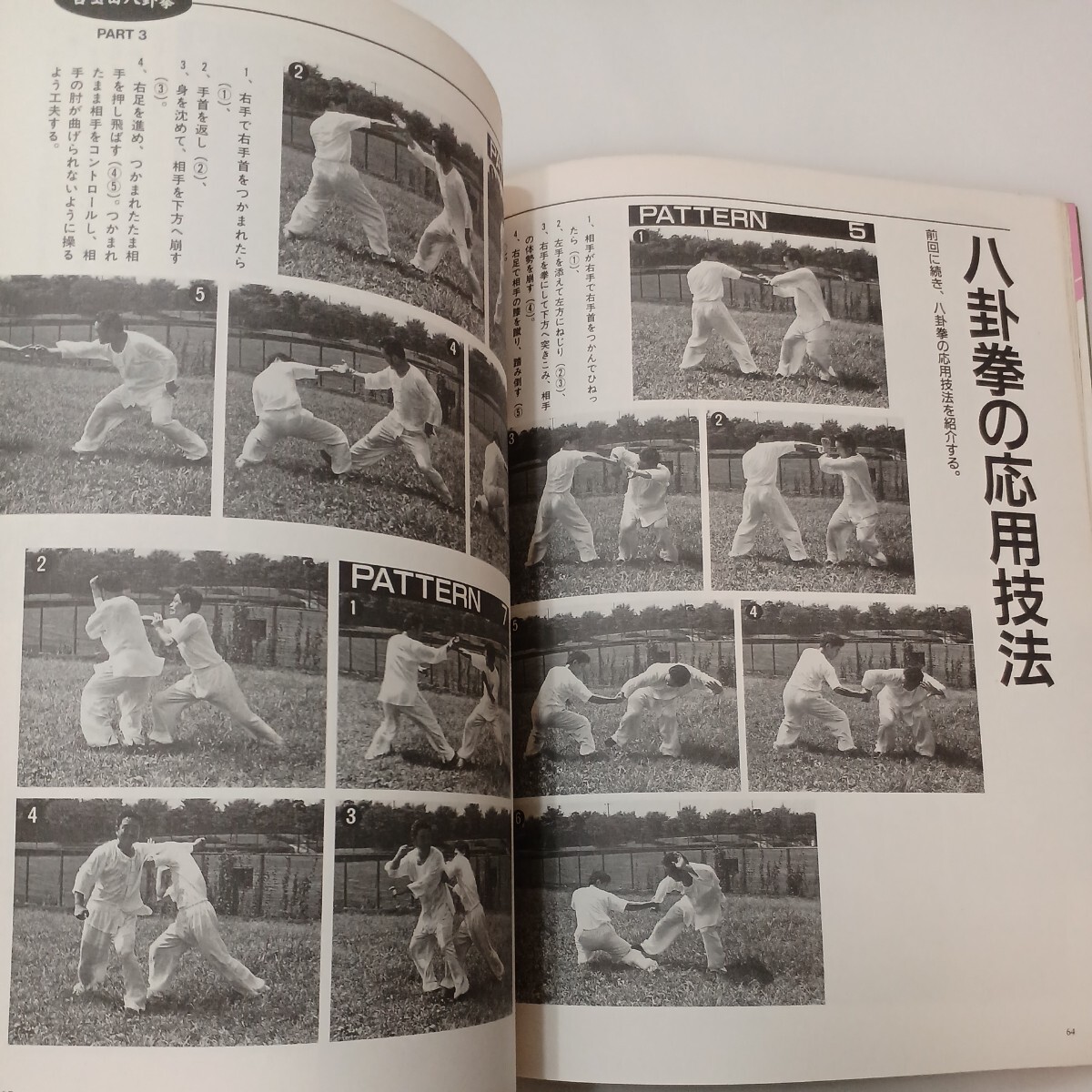 zaa-574 中国武術の専門誌 武術(うーしゅう) 1996年冬号 福昌 zaa-574 中国武術の専門誌 武術(うーしゅう) 1996年冬号 福昌