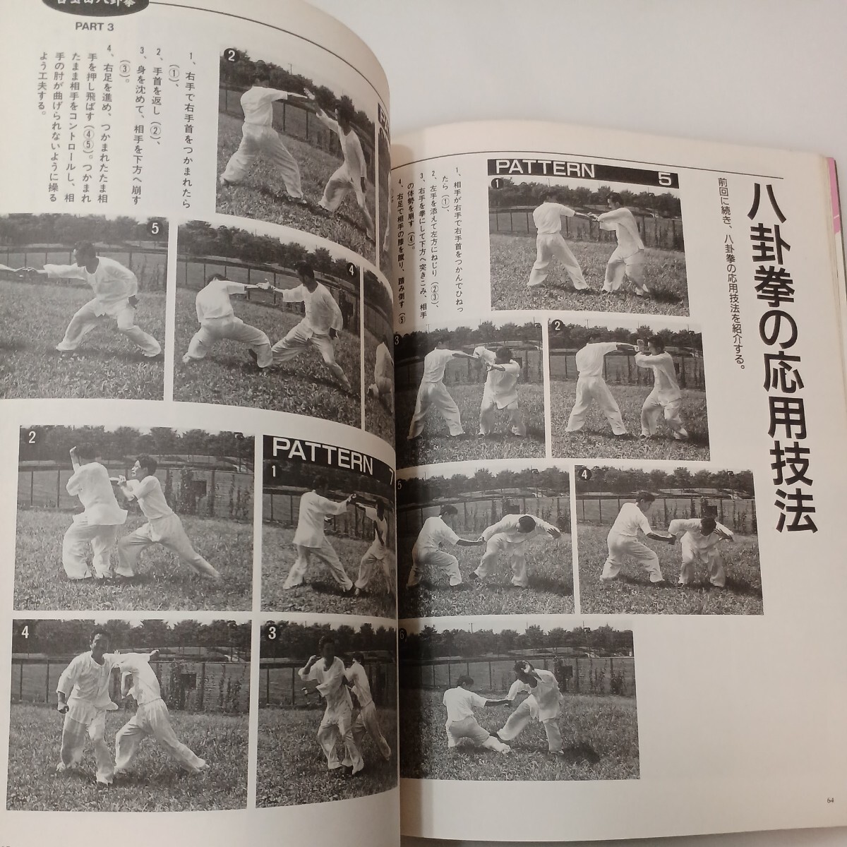 zaa-574♪中国武術の専門誌　武術（うーしゅう）　1996年冬号 　 福昌堂 (編集) 福昌堂 (1996/1/1)