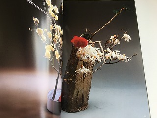 [.. river .. work compilation change illusion ]. month publish *1987 year 4 month issue * the first version / raw . flower * flower arrangement 