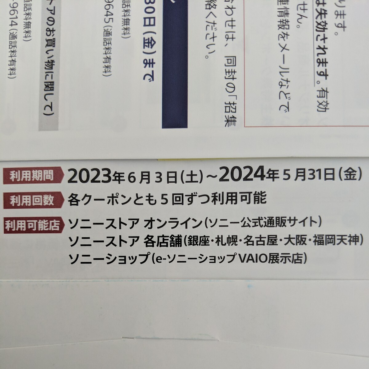 [SONY] Sony акционер гостеприимство 2024 год 5 месяц 31 до дня 