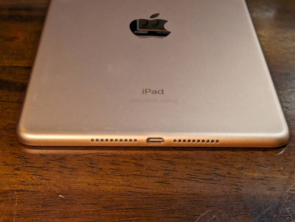 【難あり】Apple iPad mini (第５世代) Wi-Fi 64GB ゴールド_画像8