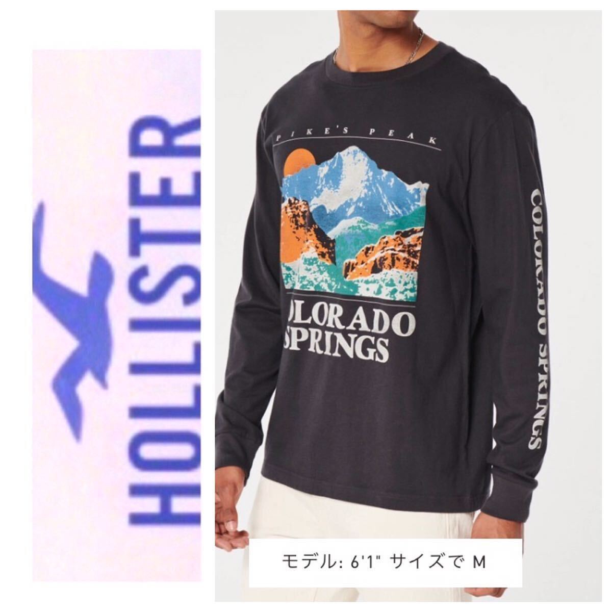 ★送料無料★◎M◎新品正規品◎ホリスター◎HOLLISTER◎ロングTシャツ◎送料込◎