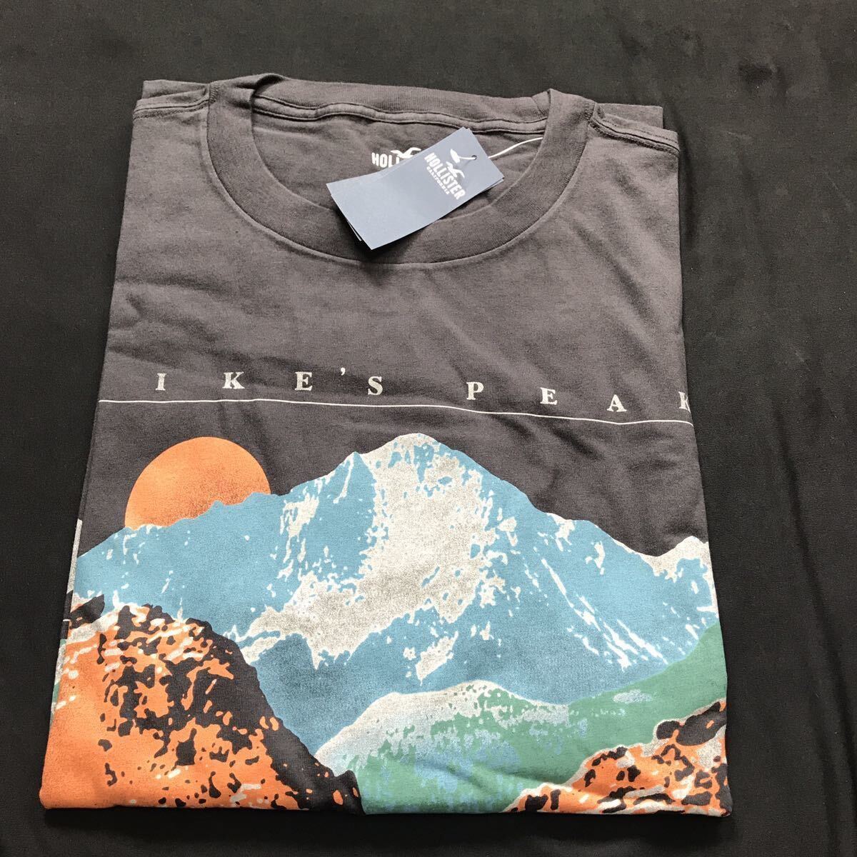 ★送料無料★◎M◎新品正規品◎ホリスター◎HOLLISTER◎ロングTシャツ◎送料込◎