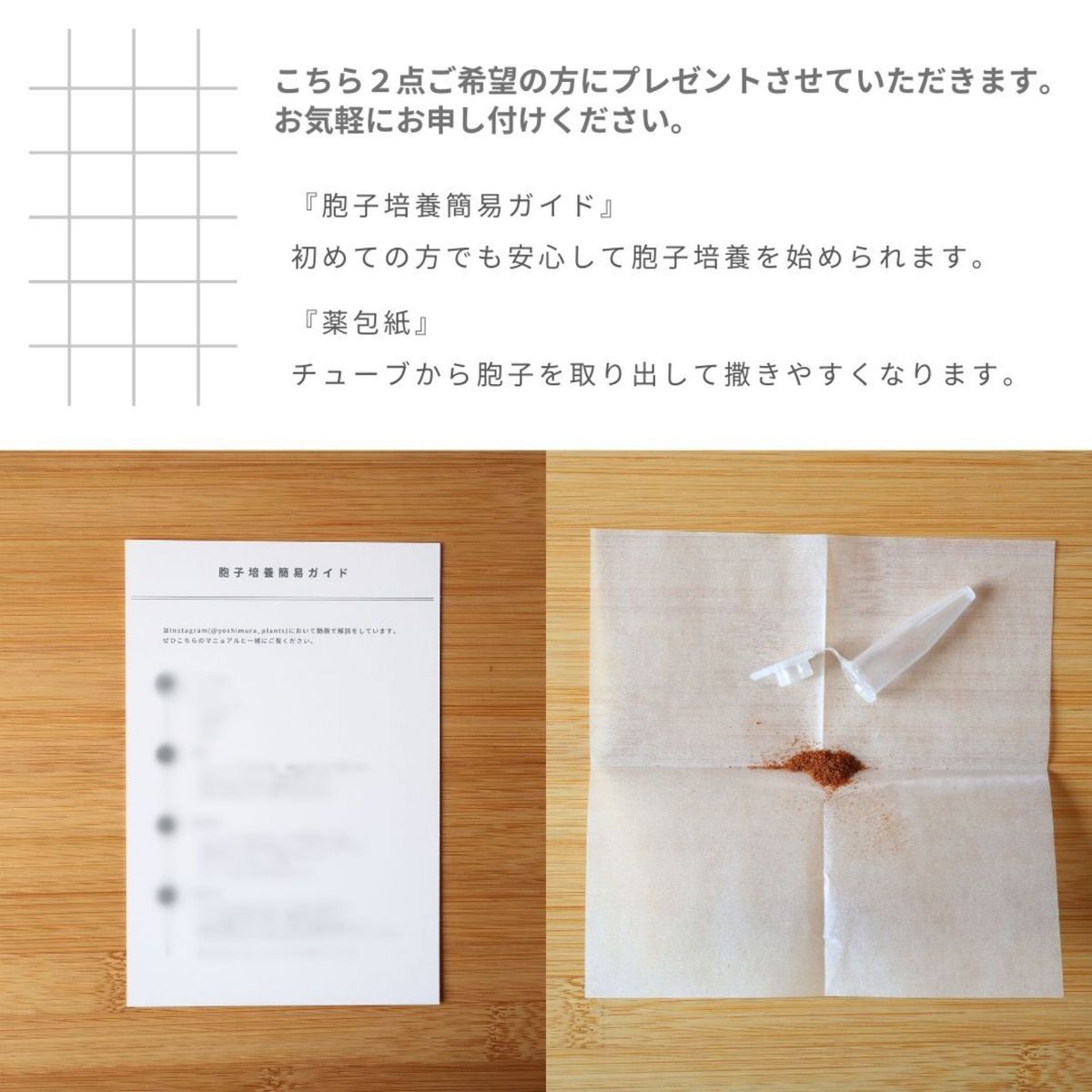 ビカクシダ胞子 10種セット|Yahoo!フリマ(旧PayPayフリマ) ビカクシダ胞子 10種セット|Yahoo!フリマ(旧PayPayフリマ)