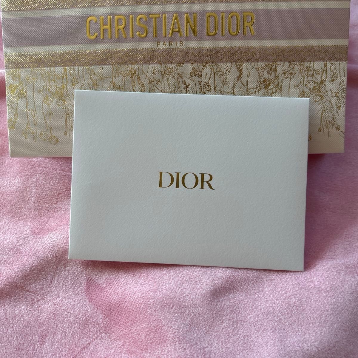 Dior クラッチタイプ　ギフトバッグ　2枚