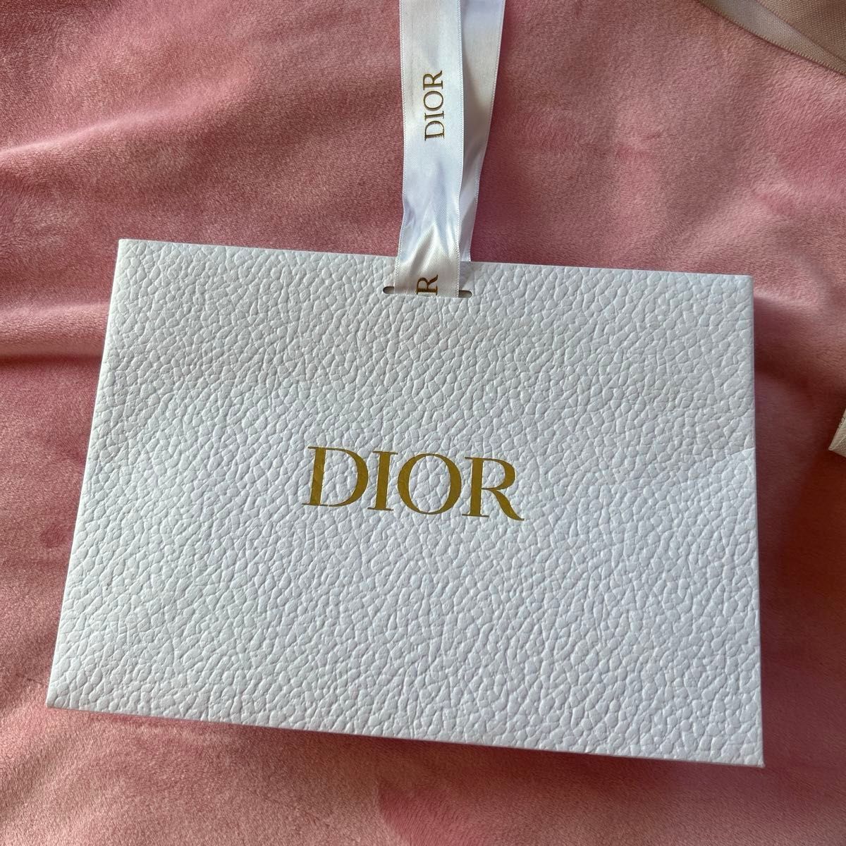 Dior クラッチタイプ　ギフトバッグ　2枚