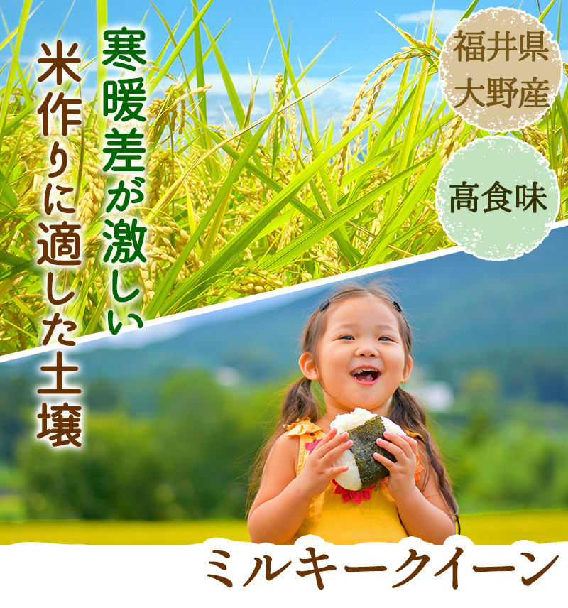 米 30kg ミルキークイーン 送料無料 玄米30kg又は白米約27kg 令和5年福井県産 検査一等米 米・食味鑑定士認定米の画像7