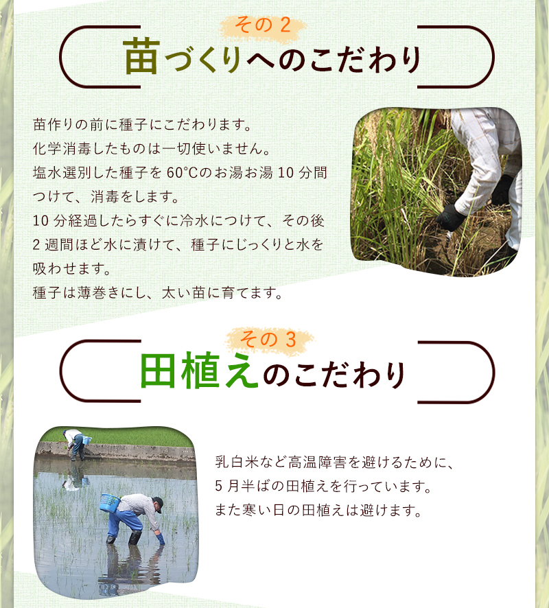 お米 30kg ミルキークイーン 送料無料 玄米30kg又は白米約27kg 令和5年福井県産 検査一等米 米・食味鑑定士認定米_画像4