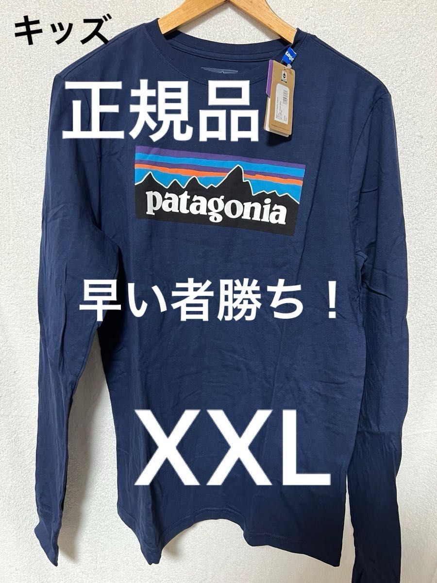 新品未使用patagonia p6 ロゴ Tシャツ 検ダスパーカ バギーズ フーディニ ナノパフ パフボール グリゼード シンチラ