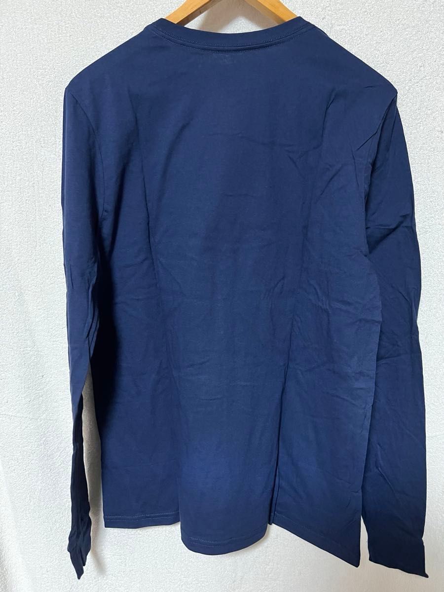 新品未使用patagonia p6 ロゴ Tシャツ 検ダスパーカ バギーズ フーディニ ナノパフ パフボール グリゼード シンチラ