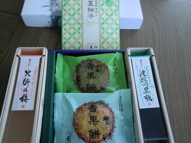 . pine Japanese confectionery assortment 