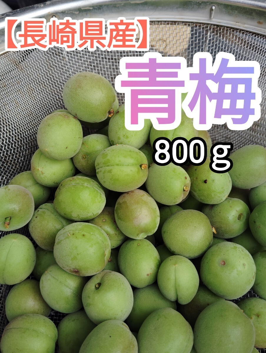 【長崎県産】青梅　生小梅　800ｇ　朝採りフレッシュ_画像1