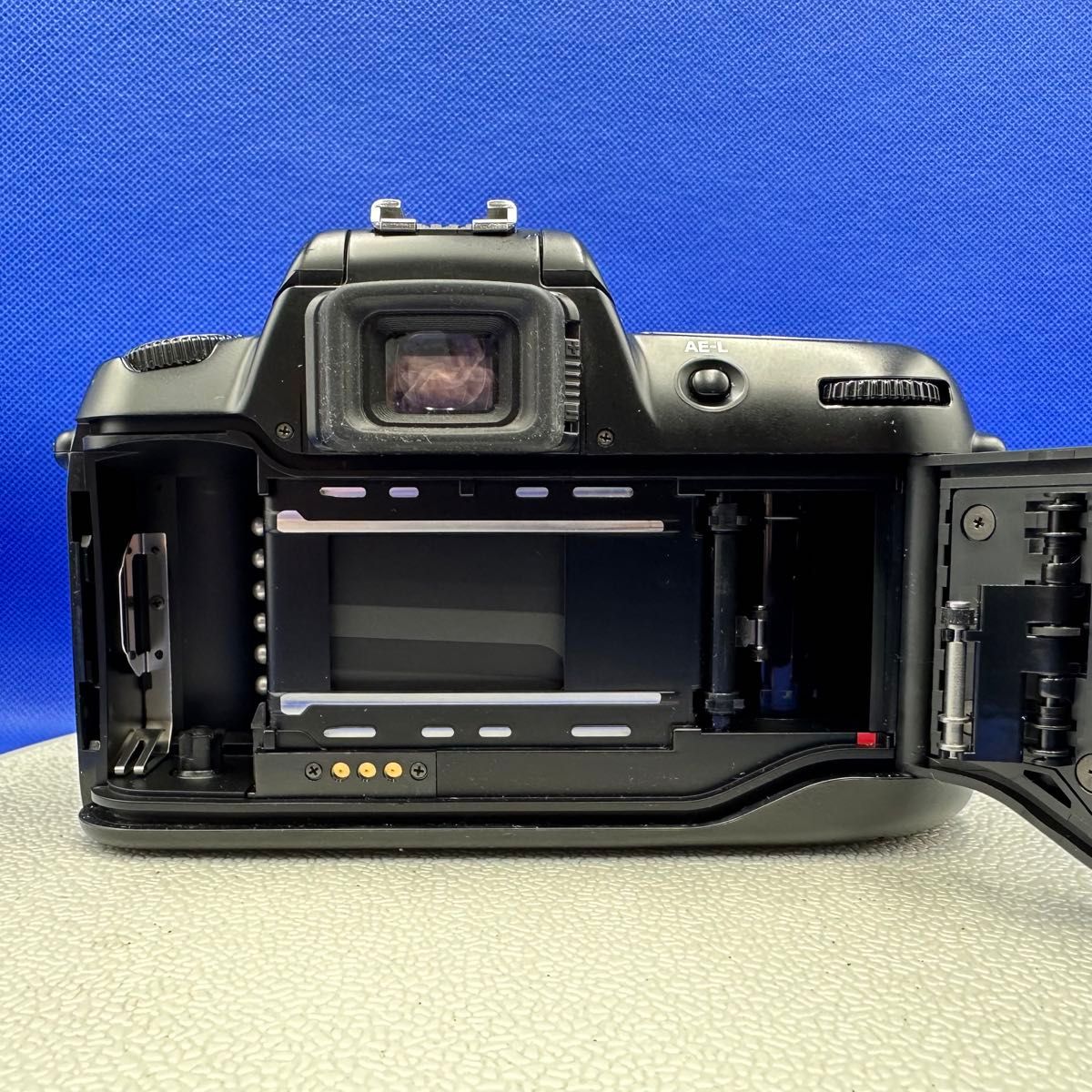 Nikon F60 SIGMA 28-80mm F3.5-5.6Ⅱ MACRO