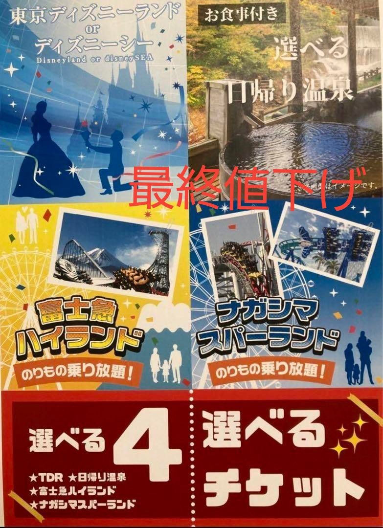 最終値下げ　1点限り早い物勝ち　有効期限無し　選べる4　日帰り温泉、富士急、ディズニー、ナガスパ　チケット引き換え