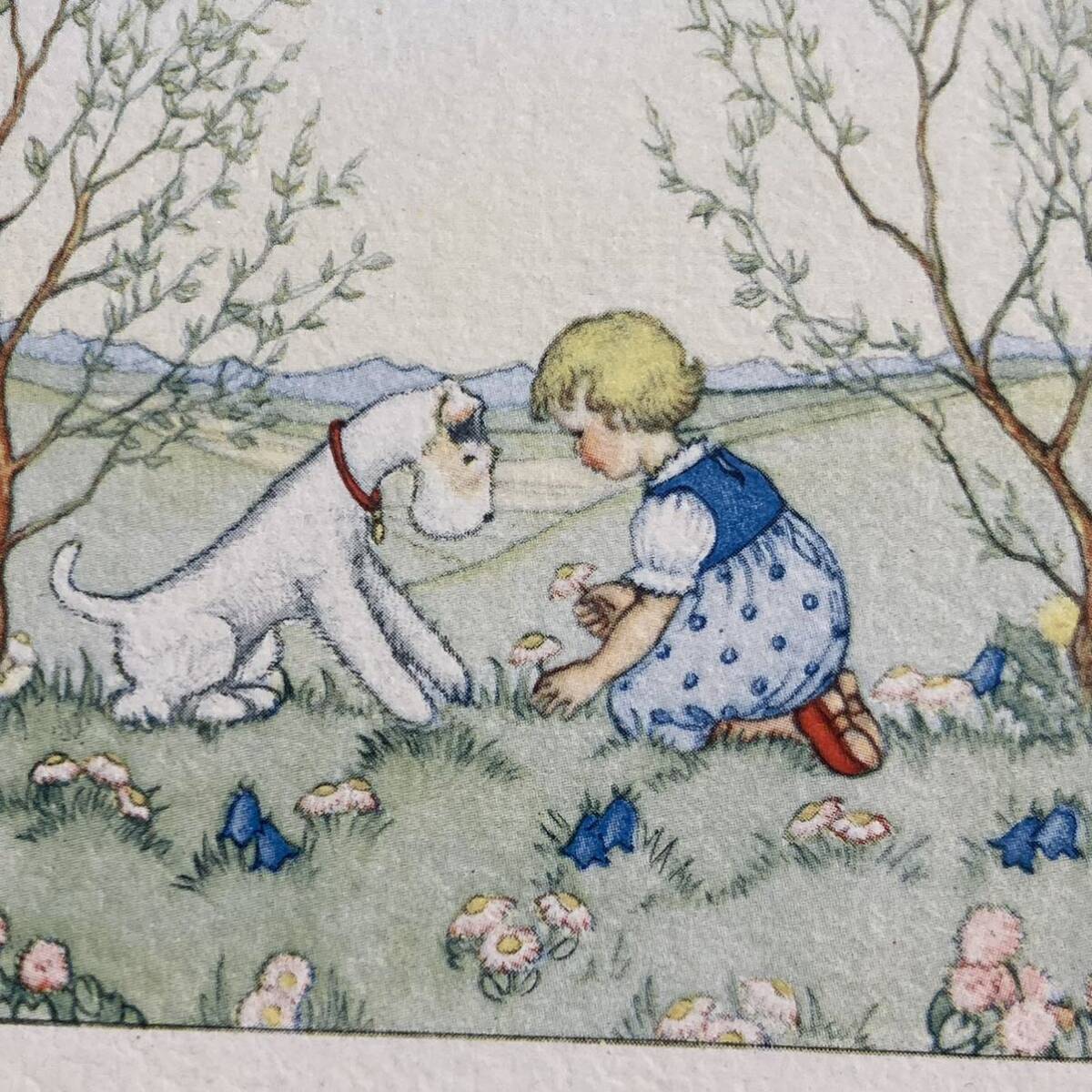 135/5 * antique postcard * picture postcard girl dog terrier .. Lynn dou.... small bird .. unused 
