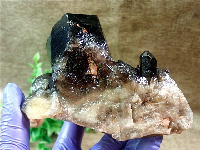 AAA級【魔除け】◆天然モリオン(黒水晶）クラスター179C6-77C71Dの画像3