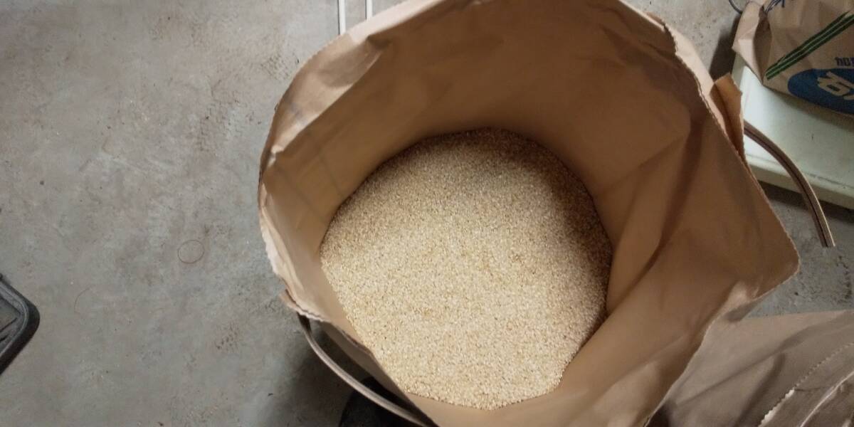 【復興米】コシヒカリ白米５kg③ 石川県輪島産 ５年産 農家直送 遠赤外線乾燥 無農薬栽培 世界農業遺産 紙袋で発送_画像6