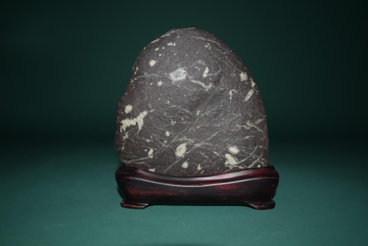  profit root river stone .*. month. hawk ( tray . suiseki st appreciation stone decoration stone )ID3453