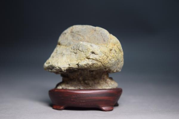 　桐生川　茅舎石　（盆景 水石 鑑賞石　飾り石）ID3201　_画像1