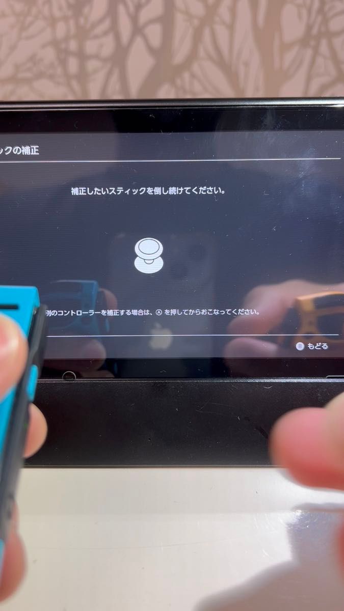 Nintendo Switch Joy-Con ニンテンドー スイッチ ジョイコン　正常動作品