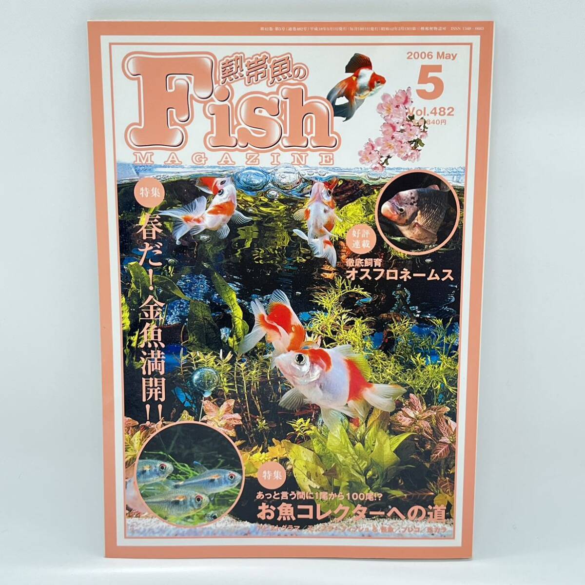 熱帯魚のフィッシュマガジン 2006年5月Vol.482 【特集】春だ!金魚満開 お魚コレクターへの道 ペット 観賞魚_画像1