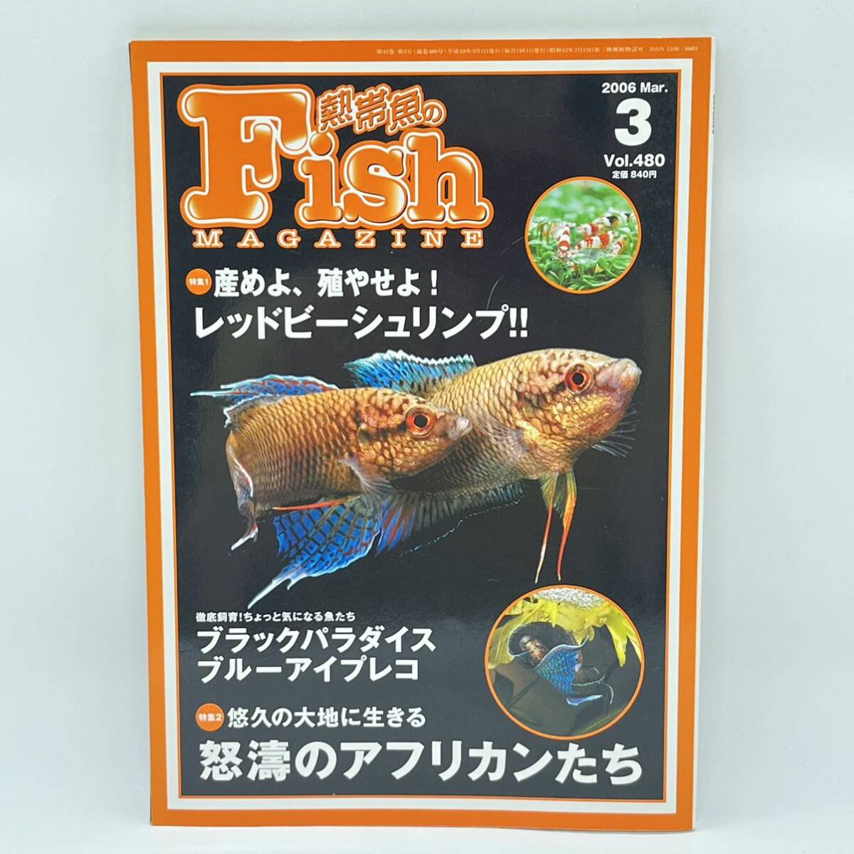 熱帯魚のフィッシュマガジン 2006年3月Vol.480 【特集】産めよ、殖やせよ!レッドビーシュリンプ 怒涛のアフリカンたち 観賞魚_画像1