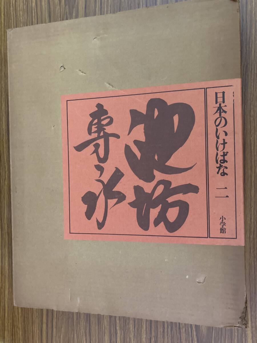 新作品 黒/赤 数量限定 無くなり次第終了 ドイツタンナーの本革 牛革 二つ折り財布 小銭入れ コンパクト 大人気商品 新作品 黒/赤 数量限定 無くなり次第終了 ドイツタンナーの本革 牛革 二つ折り財布 小銭入れ コンパクト 大人気商品