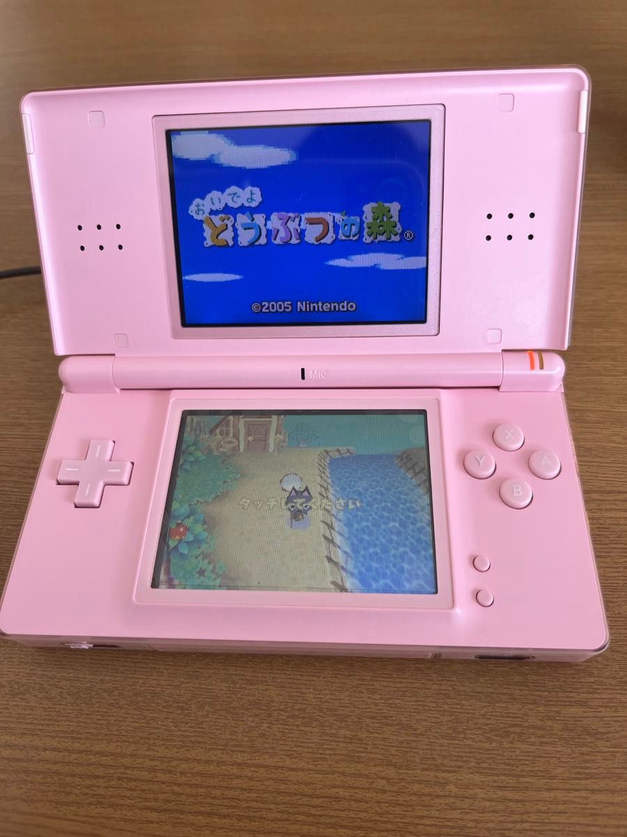 ニンテンドーDS Lite