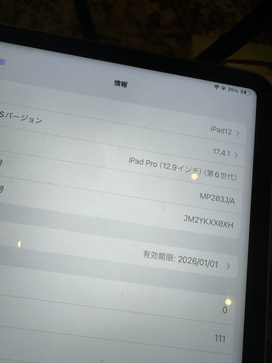 アップルケア付！Apple iPad Pro 12.9インチ 第6世代 Wi-Fi + Cellular 256GB スペースグレイ SIMフリー MP203J/A _画像3