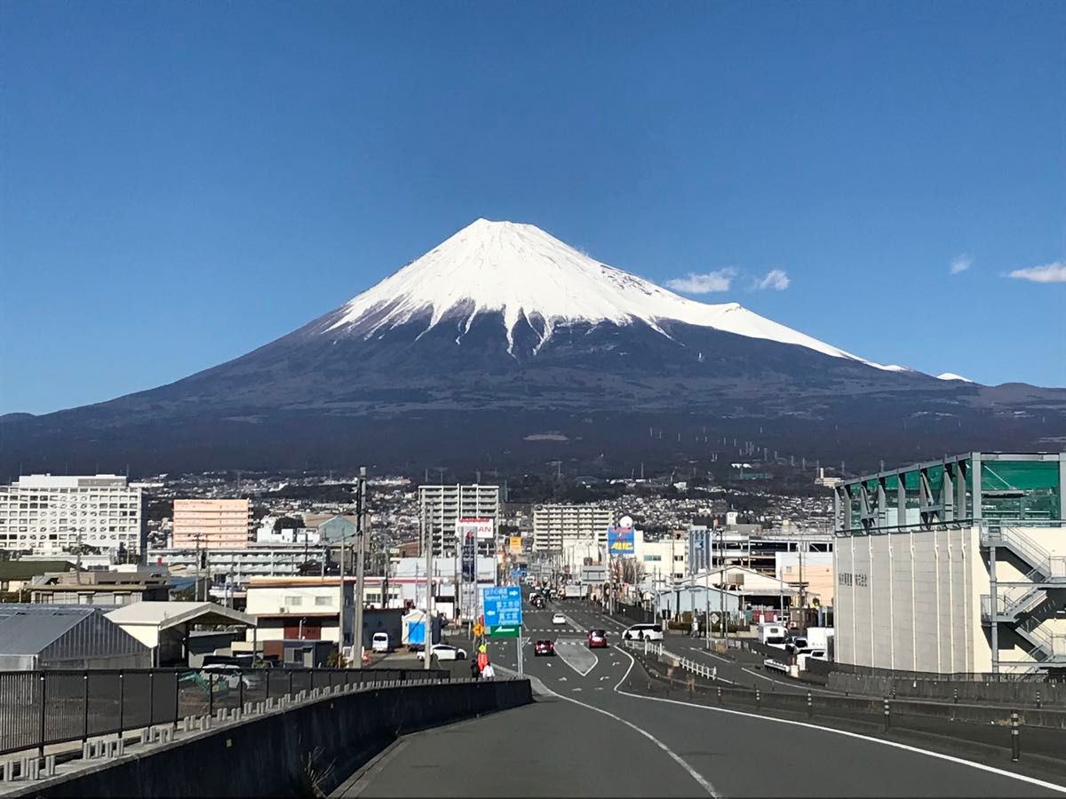 2024産 新茶 深むし茶人気３種１００ｇ×３袋 箱入り　深蒸茶　緑茶！ ギフトに最適！ 静岡県産  母の日