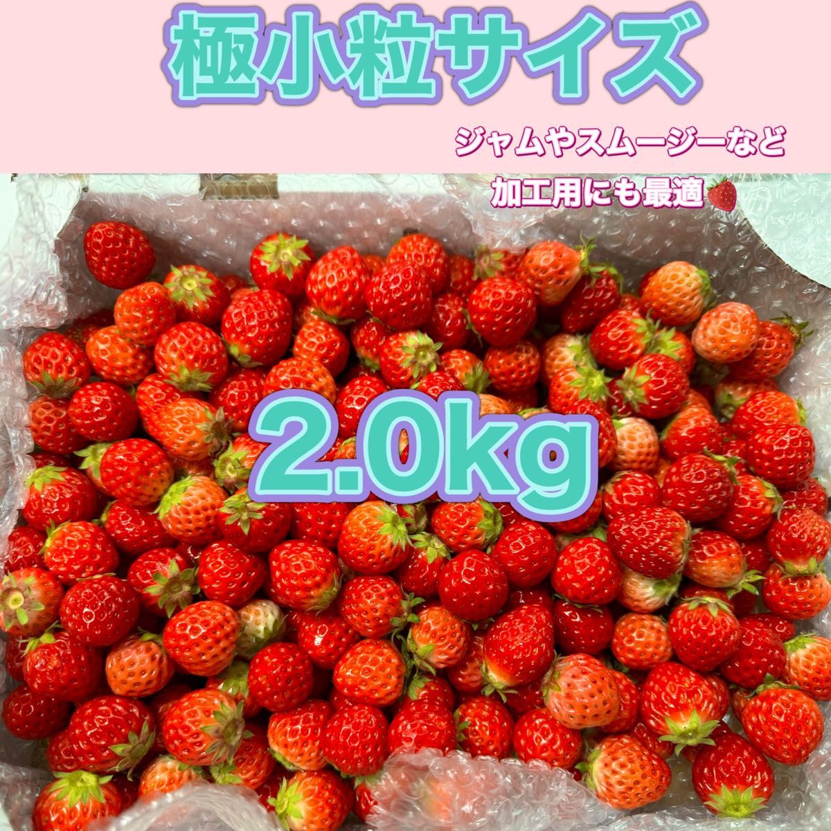 極小粒サイズ　約2.0kg　紅ほっぺ　いちご 