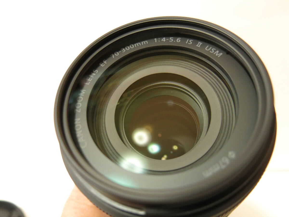  Canon CANON EF70-300.F4-5.6 IS Ⅱ USM single‐lens reflex camera zoom lens telephoto lens 