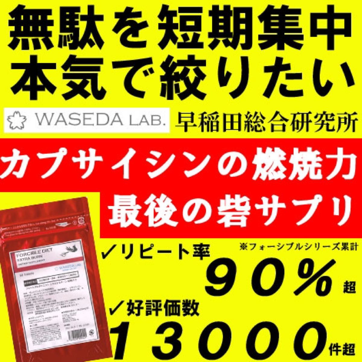 限定！まとめ売り特価3袋6ヶ月分　早稲田総合研究所フォーシブル　ダイエットサプリ　食品