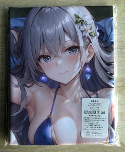 T-AHM000033..3rd * Dakimakura cover 45*90cm 2way* towel poster tapestry mail service possible 