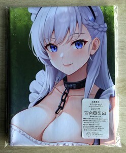 T-AHM000081 Belfast * Dakimakura покрытие 45*90cm 2way* полотенце постер гобелен почтовая доставка возможно 