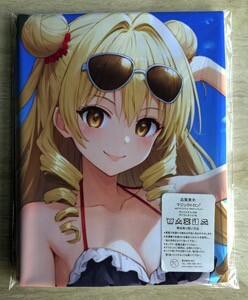 T-AHM000207 天条院沙姫 ★抱き枕カバー45*90cm 2way★ タオル ポスター タペストリー メール便可_画像1